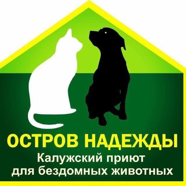 Приют для бездомных животных