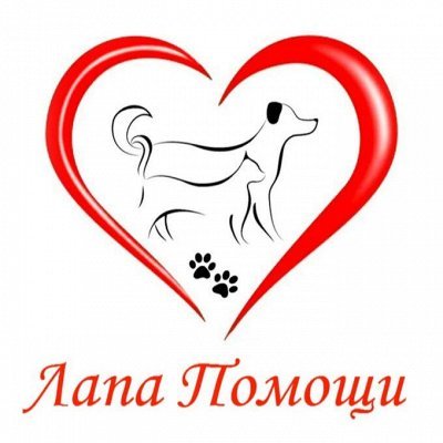 Помощь бездомным животным