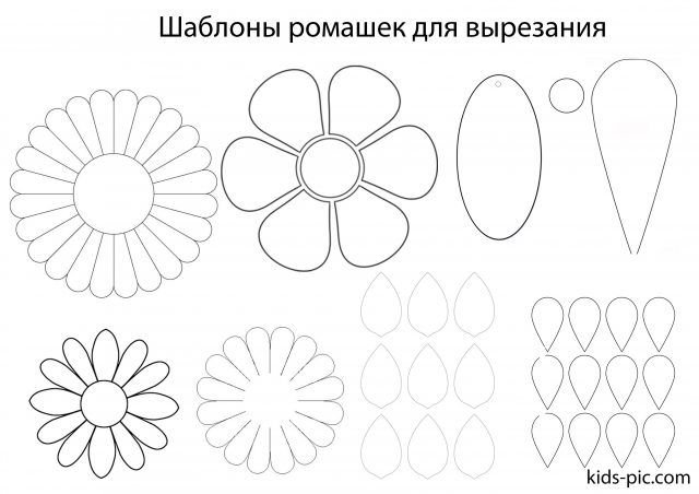 Трафарет ромашки для вырезания из бумаги