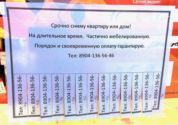 сниму квартиру в вашем доме