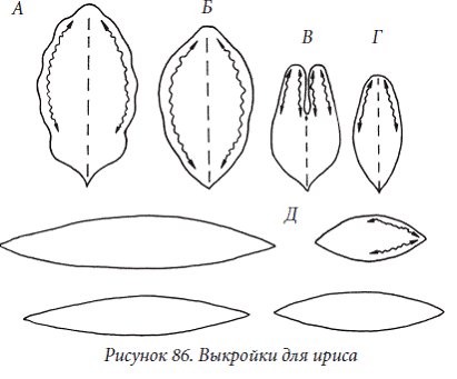Трафарет листьев ириса