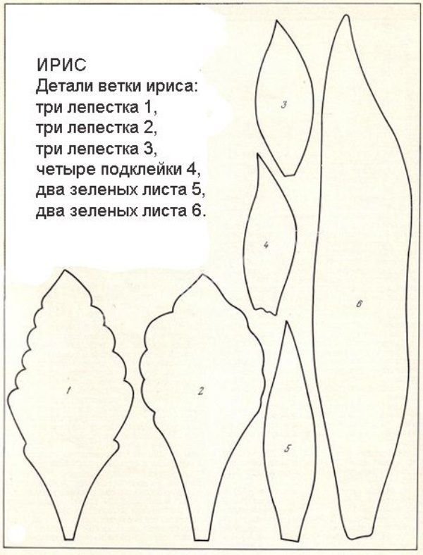 Выкройка ириса из фоамирана