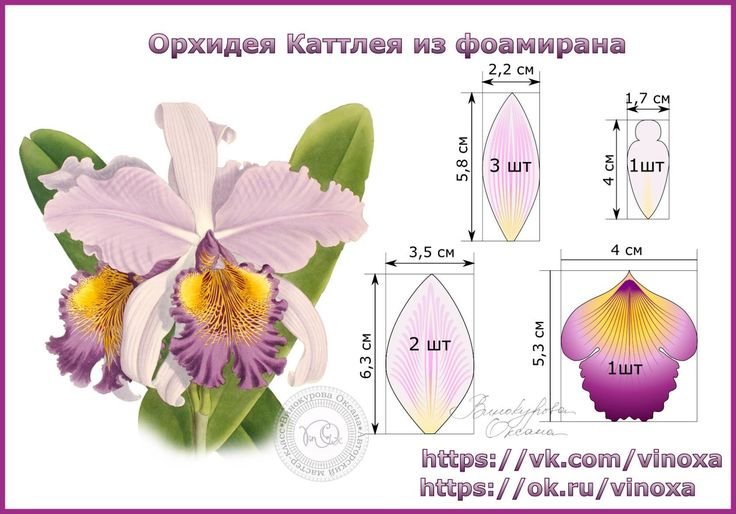 Орхидея из фоамирана своими руками