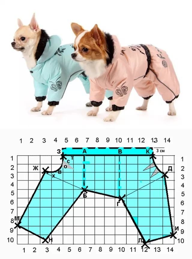 Выкройки одежды для собак