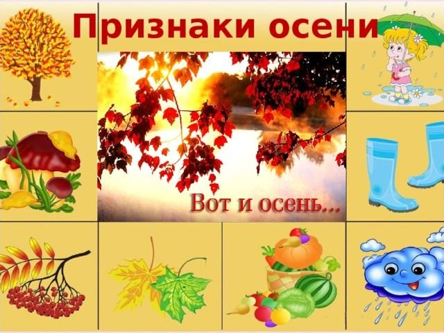 Признаки осени для детей