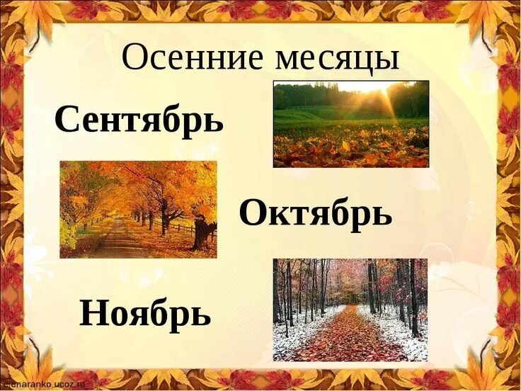 Осенние месяцы