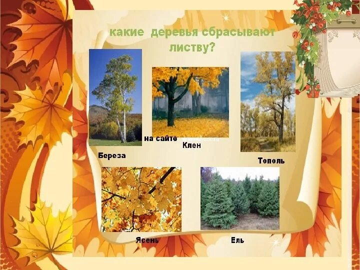 Календарь природы осень