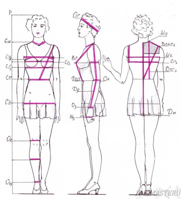 Схема снятия мерок с женской фигуры для пошива