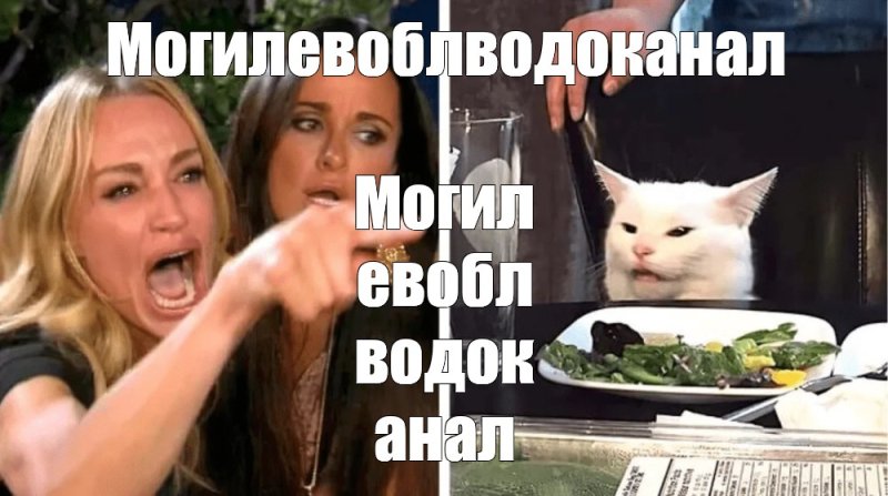 Мем женщина и кот