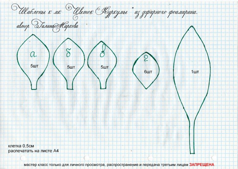 Морозник шаблон лепестков