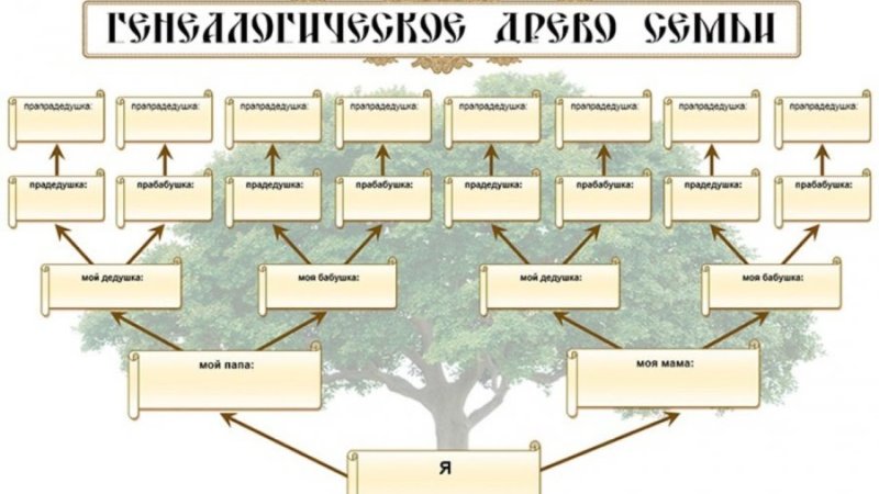 Родословная. Составление схемы родословного древа, истории семьи.