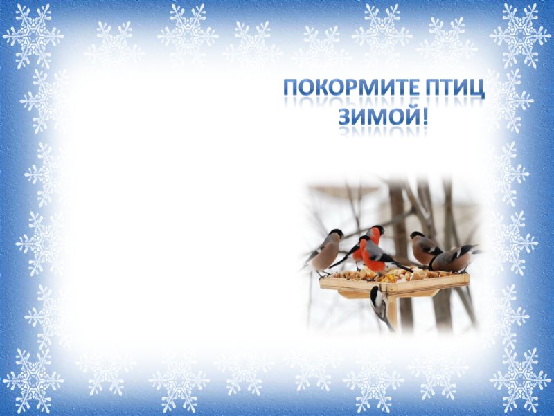 Фон для презентации зимующие птицы