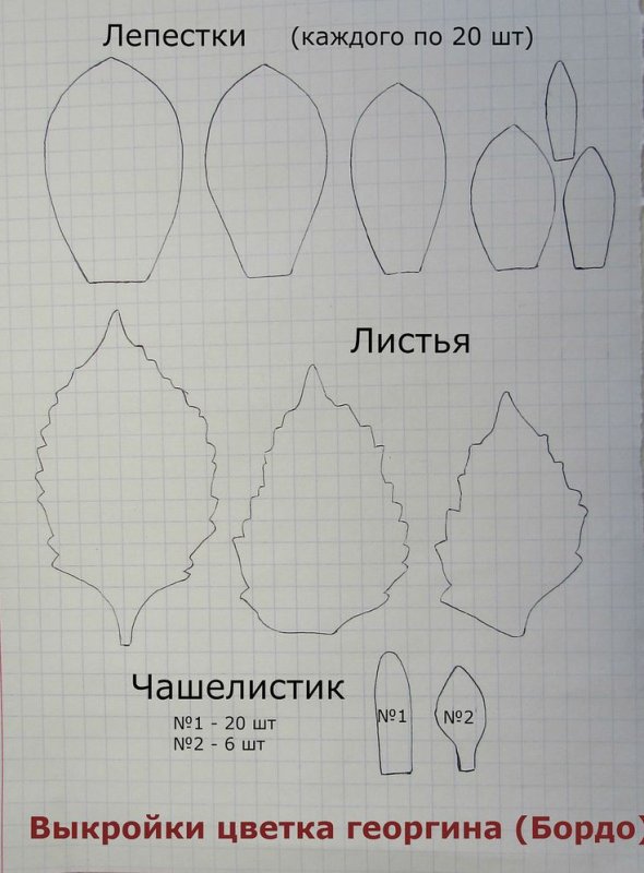 Для цветов георгин