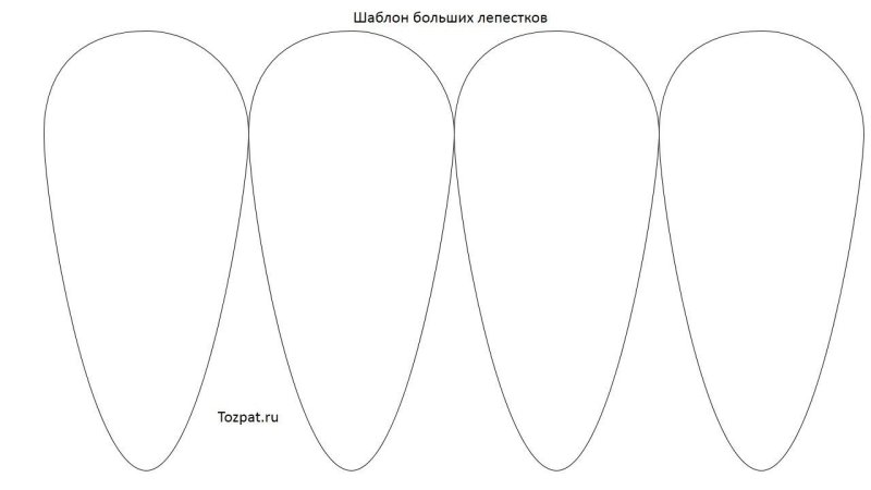 Лепестки ромашки для вырезания