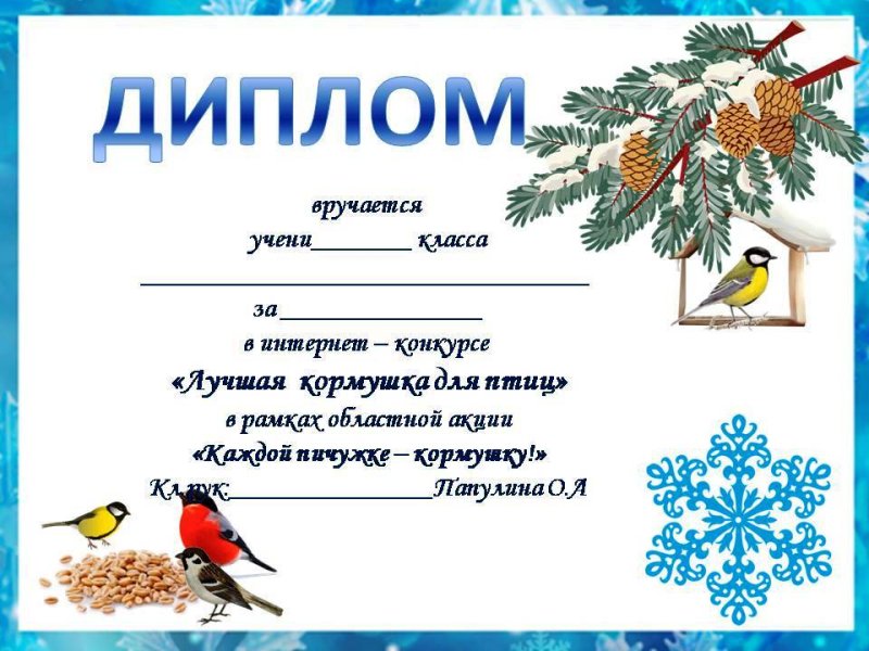 благодарность за участие в акции покормите птиц зимой