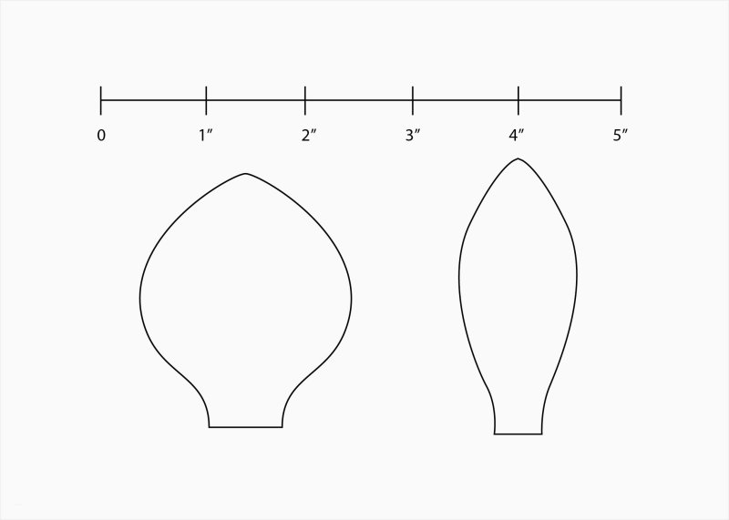 Трафареты лепестков цветов