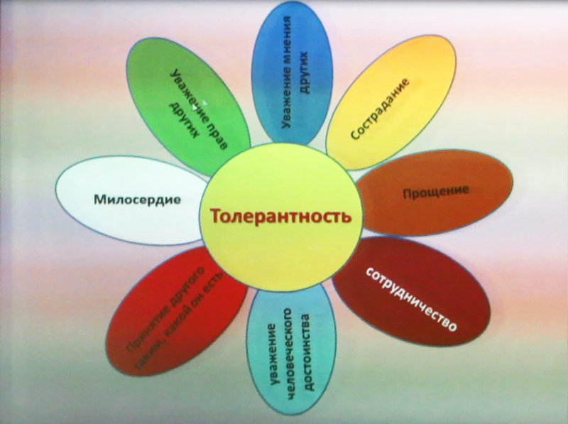 Цветочек толерантности