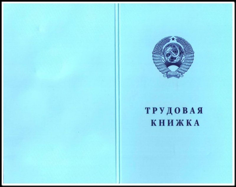 обложка для трудовой книжки кадровое дело