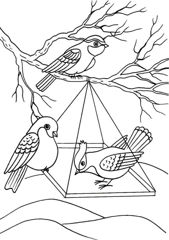 Раскраска зимующие птицы на кормушке