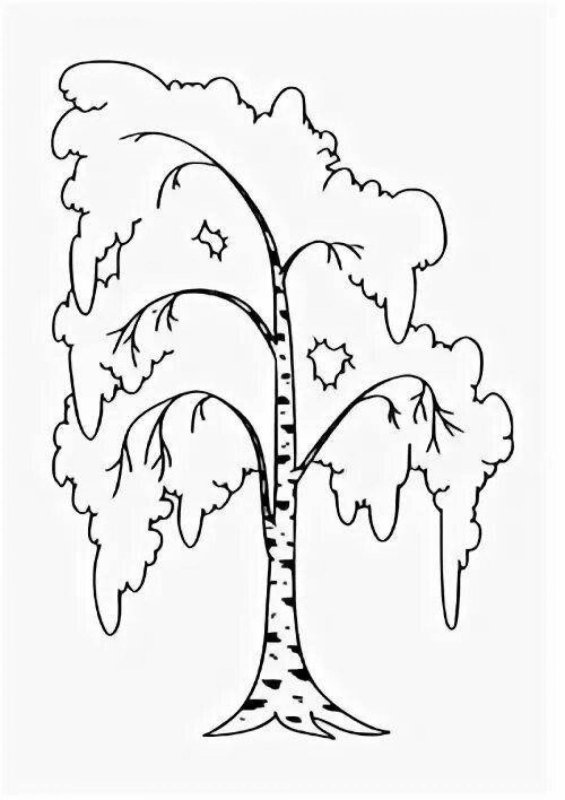 Дерево береза раскраска