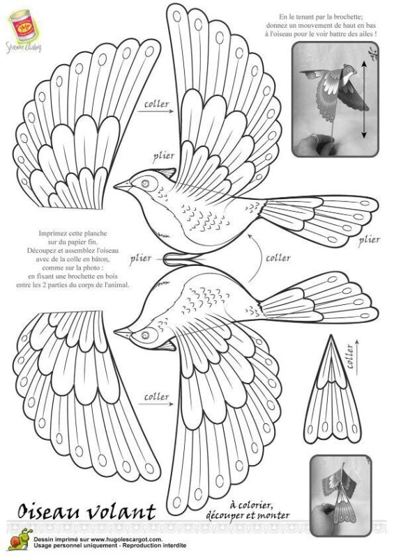 бумагопластика и схемы птицы