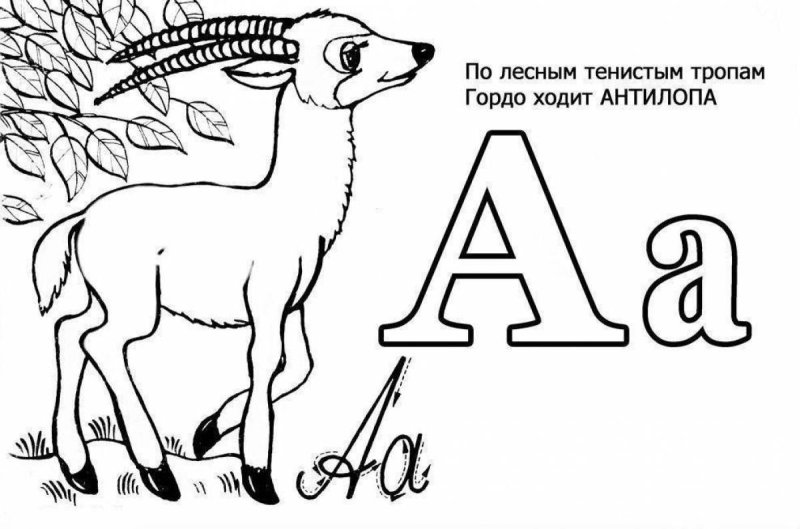 Азбука раскраска для детей