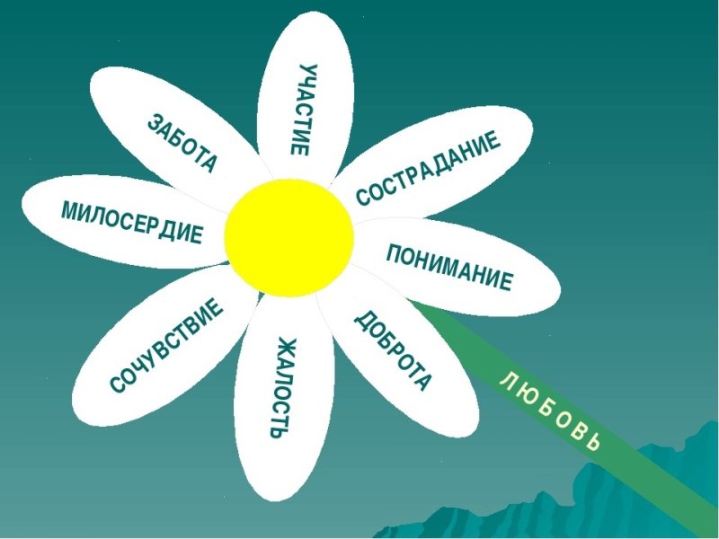 Цветок доброты ромашка