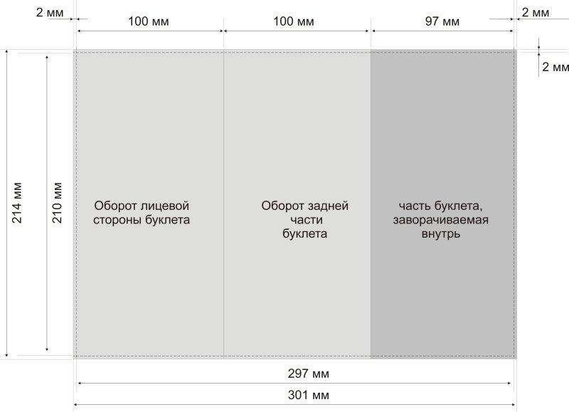 Буклет анатомия