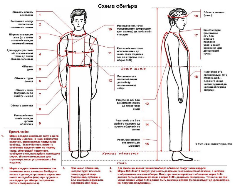 Схема снятия мерок с мужской фигуры