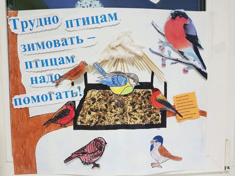 Плакат. Зимующие птицы.