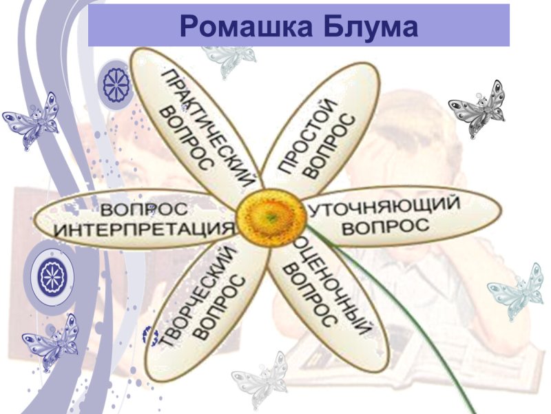 Ромашка Блума