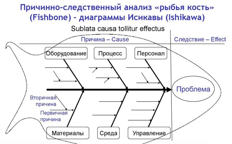 Методика Исикавы рыбья кость