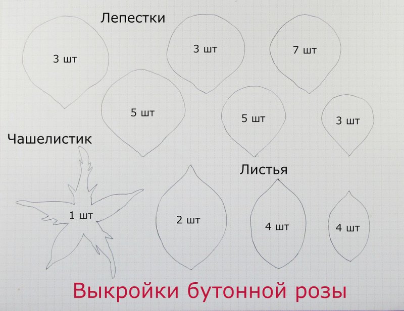 Выкройки лепестков цветов