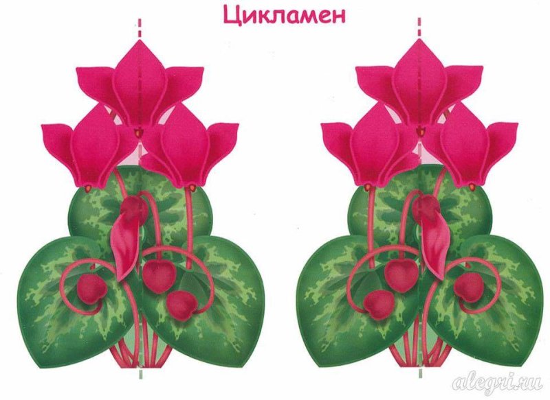 Вырезать и склеить цветы