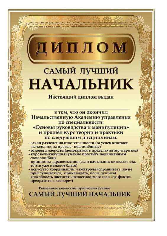 Диплом "лучшему руководителю"