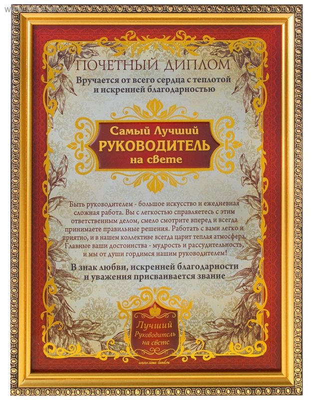 Диплом "лучшему руководителю"
