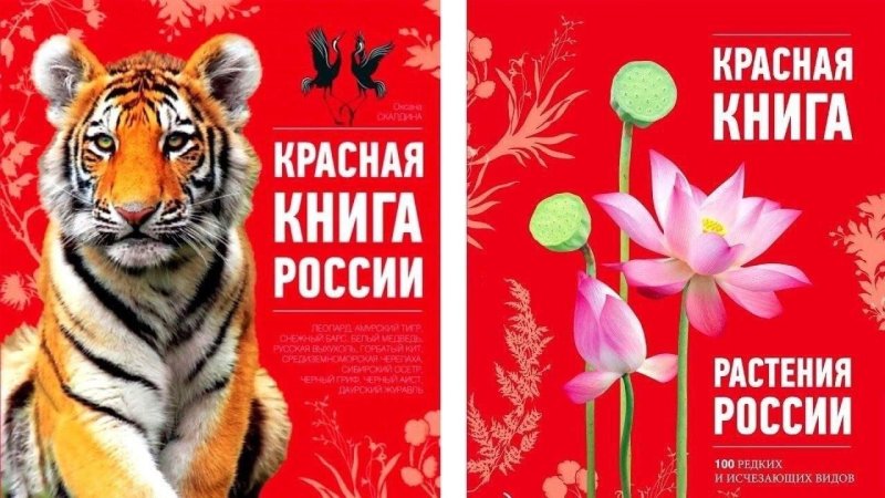 обложка красная книга