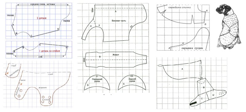 Выкройка комбинезона для собаки Джек Рассел
