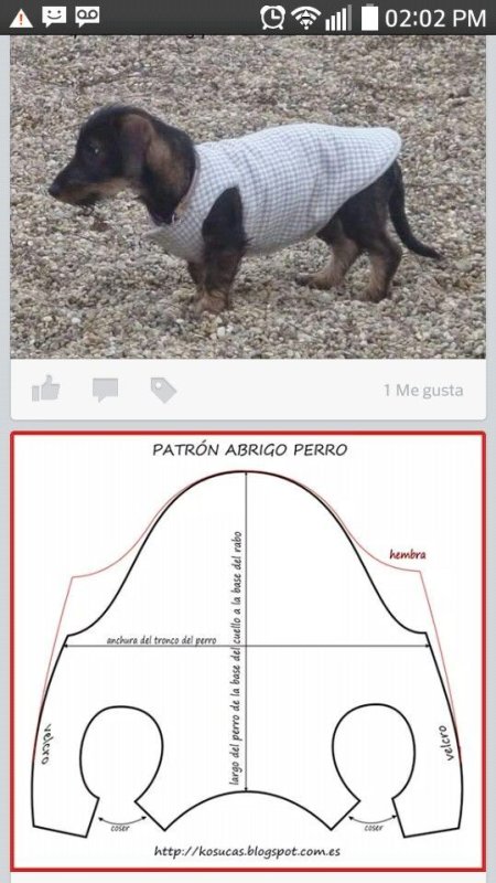 выкройка собака в одежде