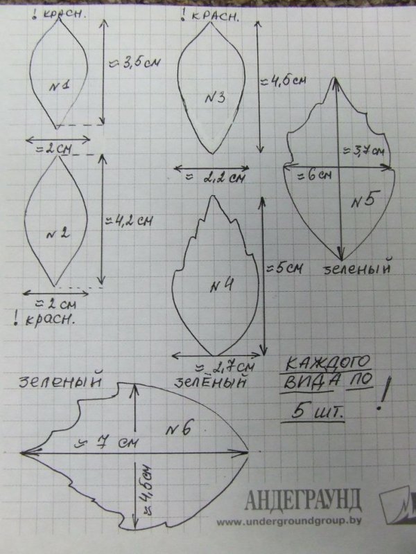 лепесток пуансеттии