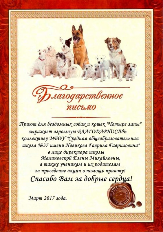 Благодарность от бездомных животных