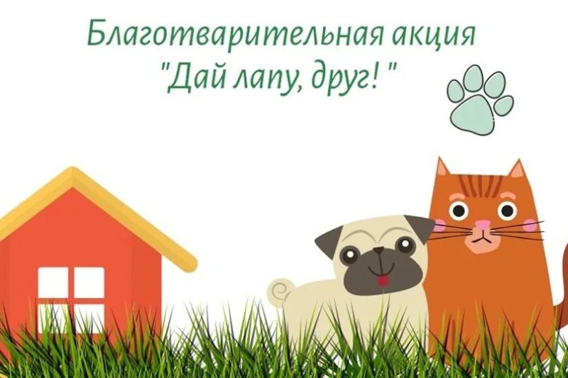 Помочь приюту для животных рисунки