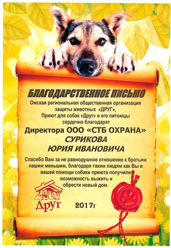 Благодарность приюту для животных