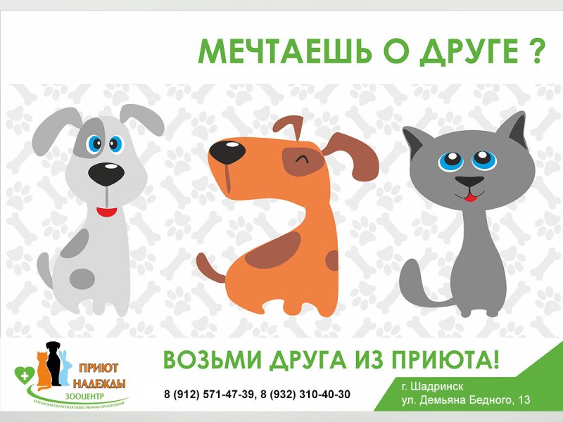 Плакат в поддержку бездомных животных