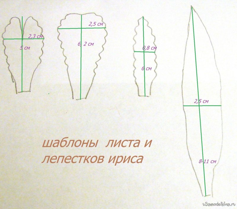 Шаблон ириса из фоамирана