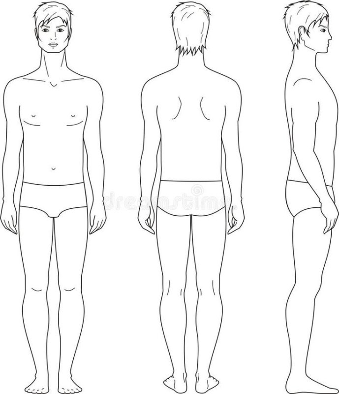 Мужская фигура для моделирования одежды