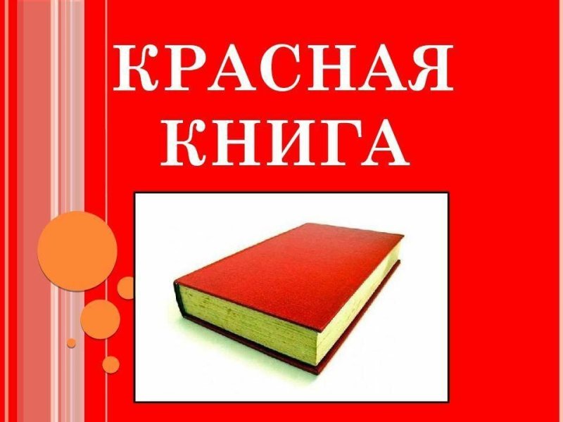 обложка красная книга россии